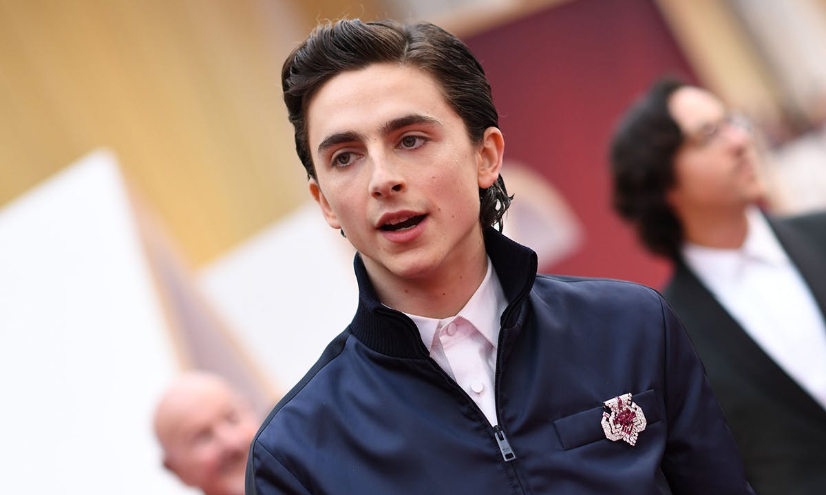 Timothée Chalamet Oscars