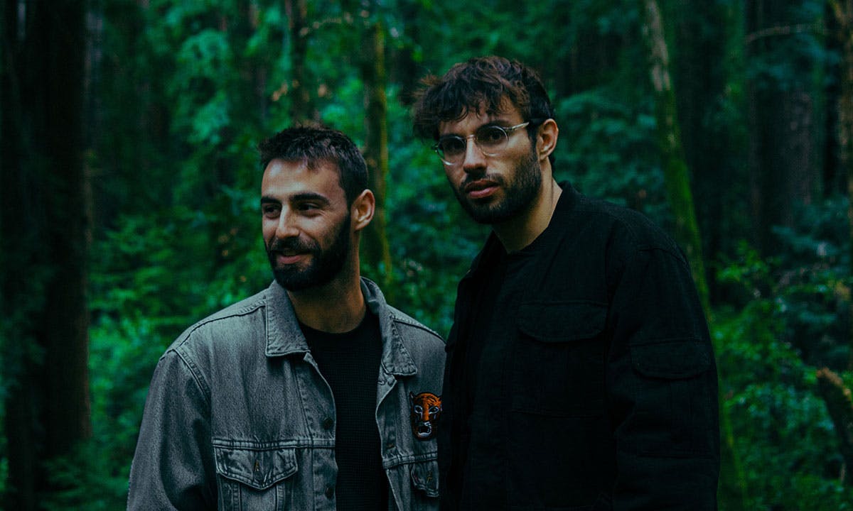 slenderbodies