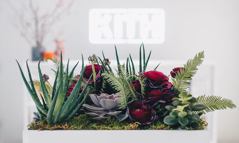 plantshed kith valentines day pop up feature Sam Miro