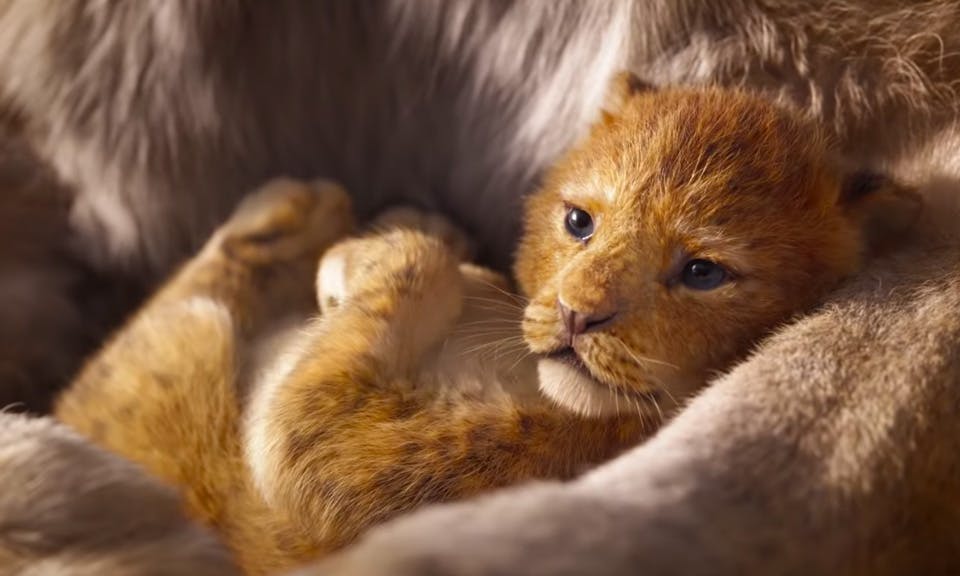 lion king trailer react feat Internet Reacts the lion king