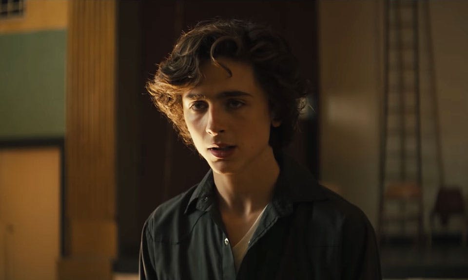 beautiful boy feat Timothée Chalamet steve carell