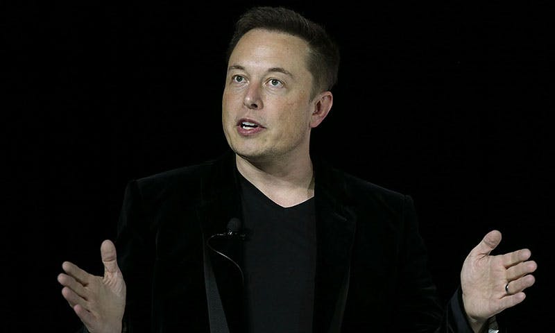 elon musk tesla public company