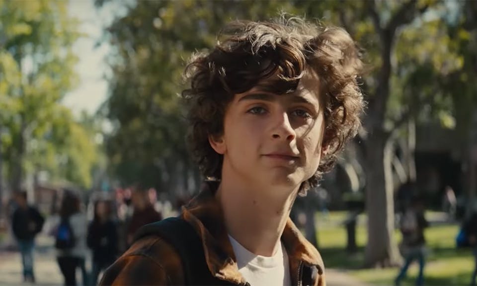 beautiful boy trailer Timothée Chalamet steve carell