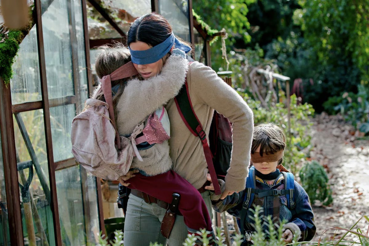 bird box challenge netlfix