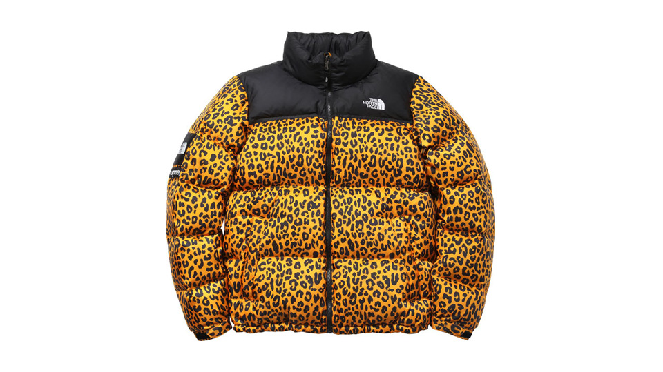 Supreme and The North Face rocked again