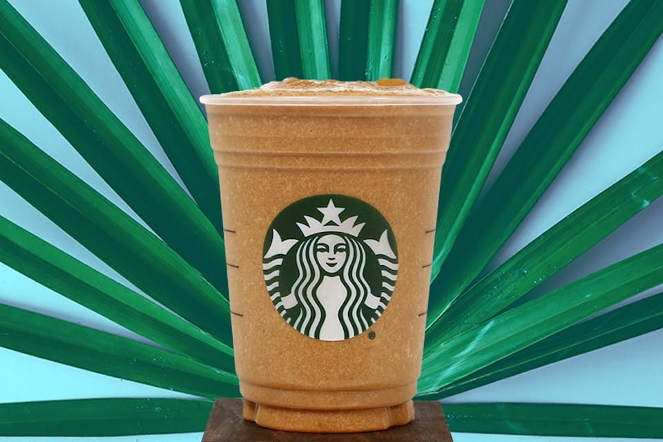 starbucks plant based protein beverages