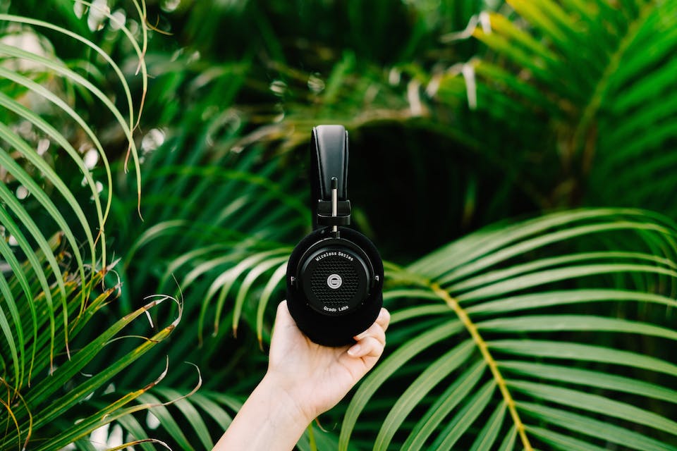 Grado GW100 Wireless Headphones with Plants Grado Labs GW100