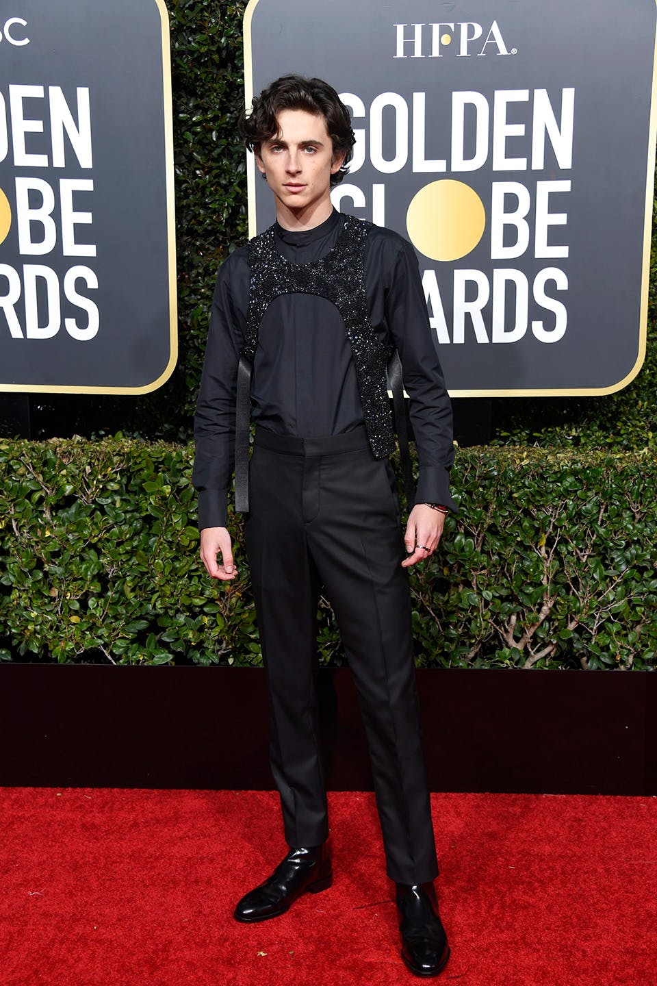 timothee chalamet mom golden globes Timothée Chalamet