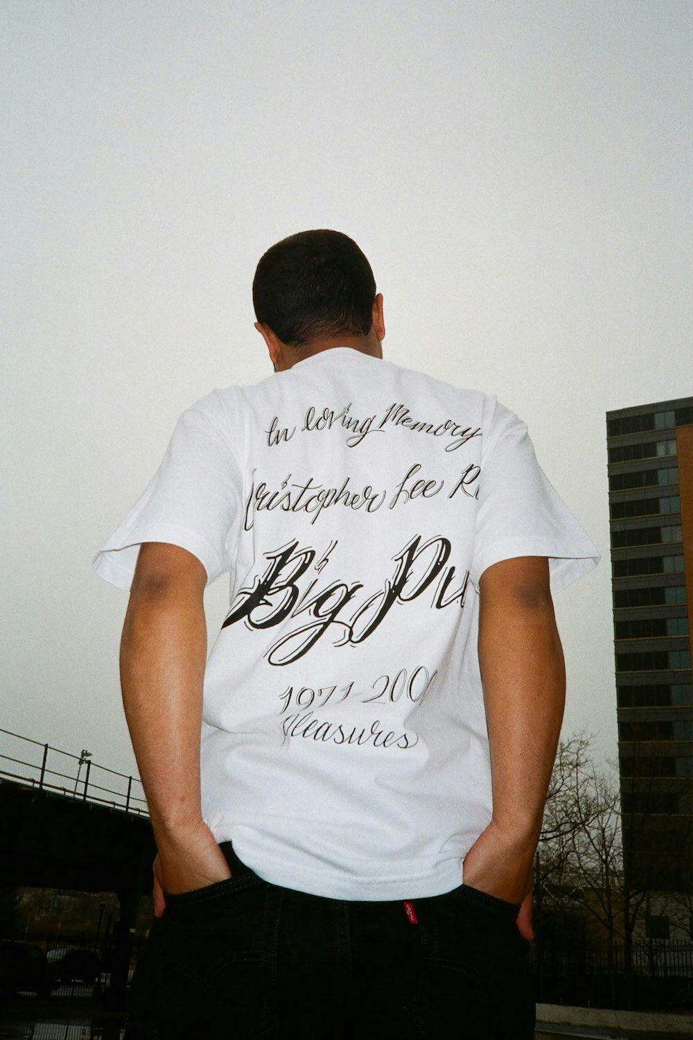 big pun pleasures capsule