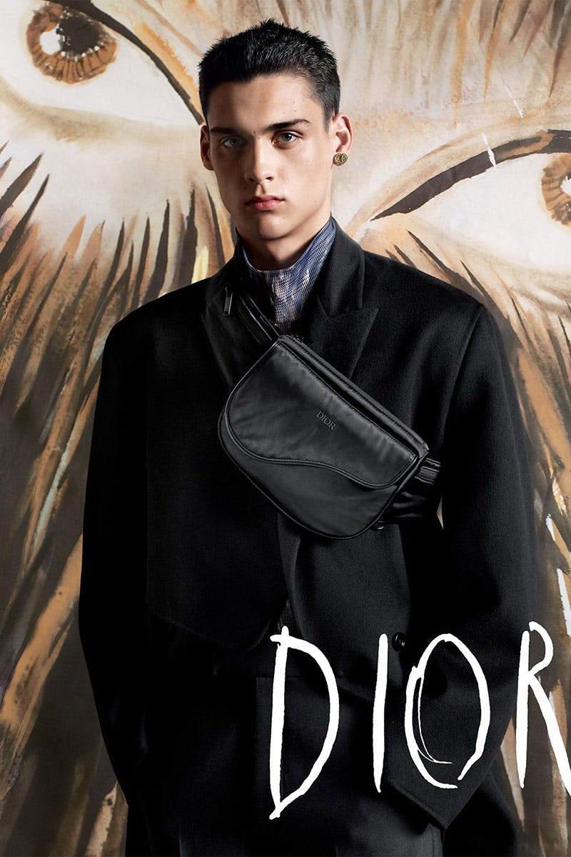 dior autumn winter 19 20 campaign kim jones raymond pettibon steven meisel