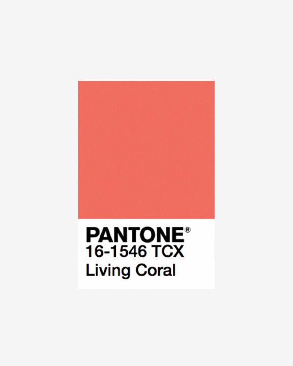 How Pantone's Colors of the Year Defined the Decade