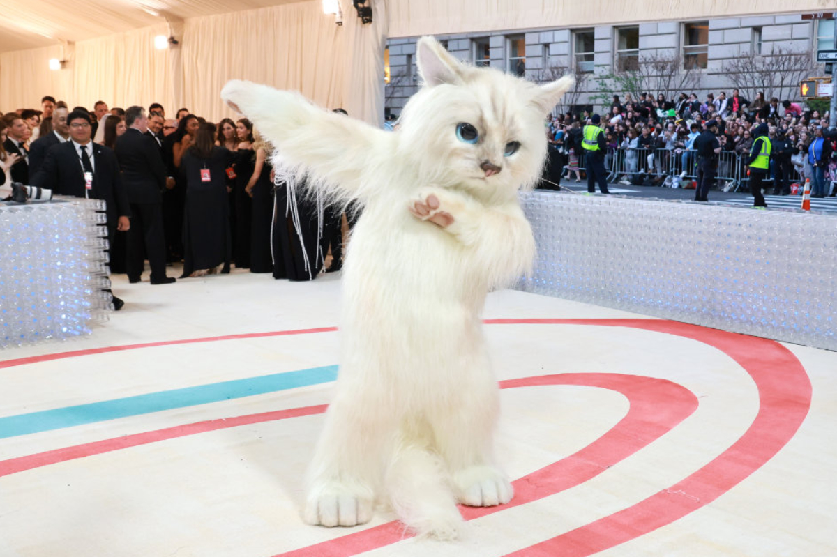 The Met Gala 2023's Wildest Moments: The Roach, Doja Cat's Meow