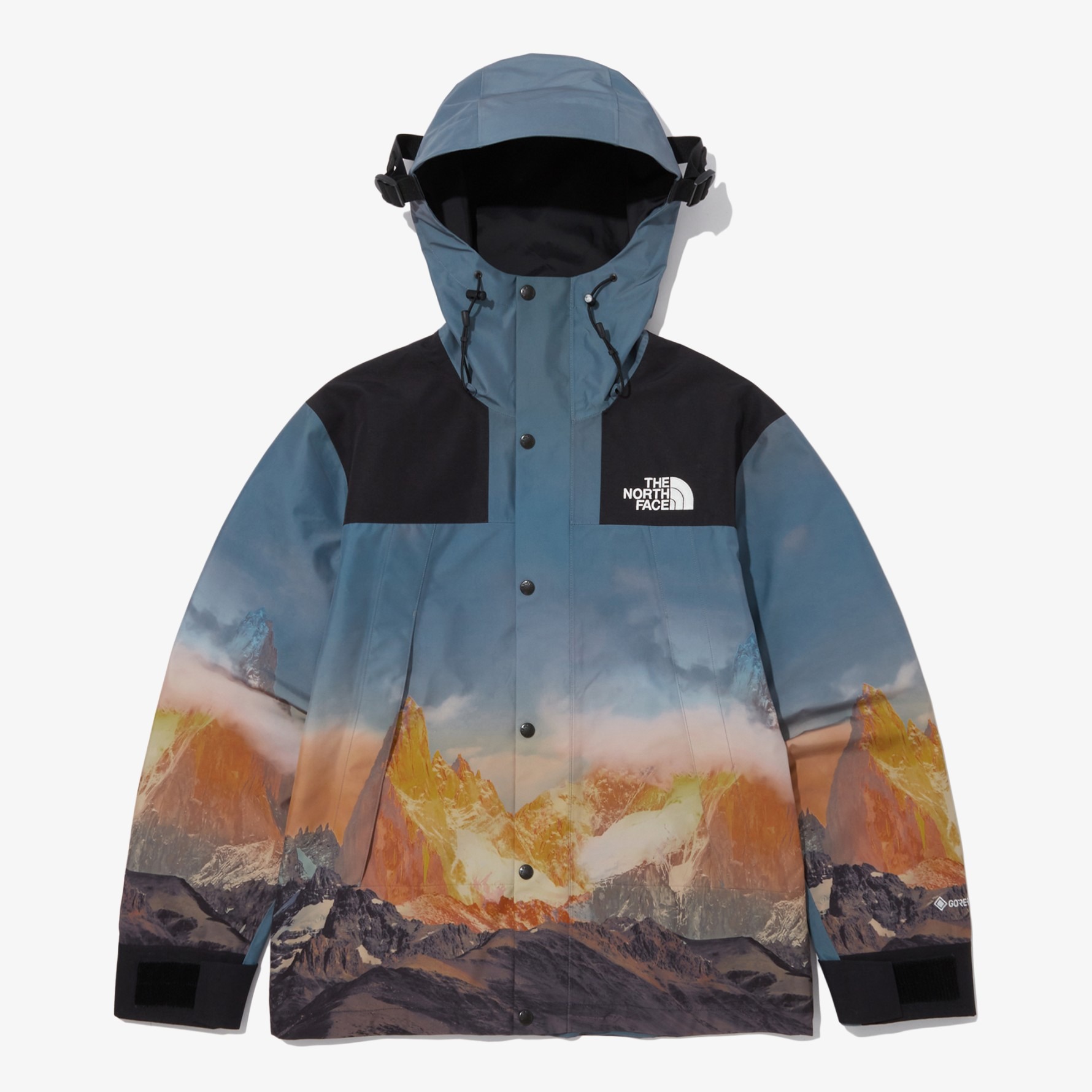 The North Face's Mountain Vista GORE-TEX Jackets Are Gorgeous