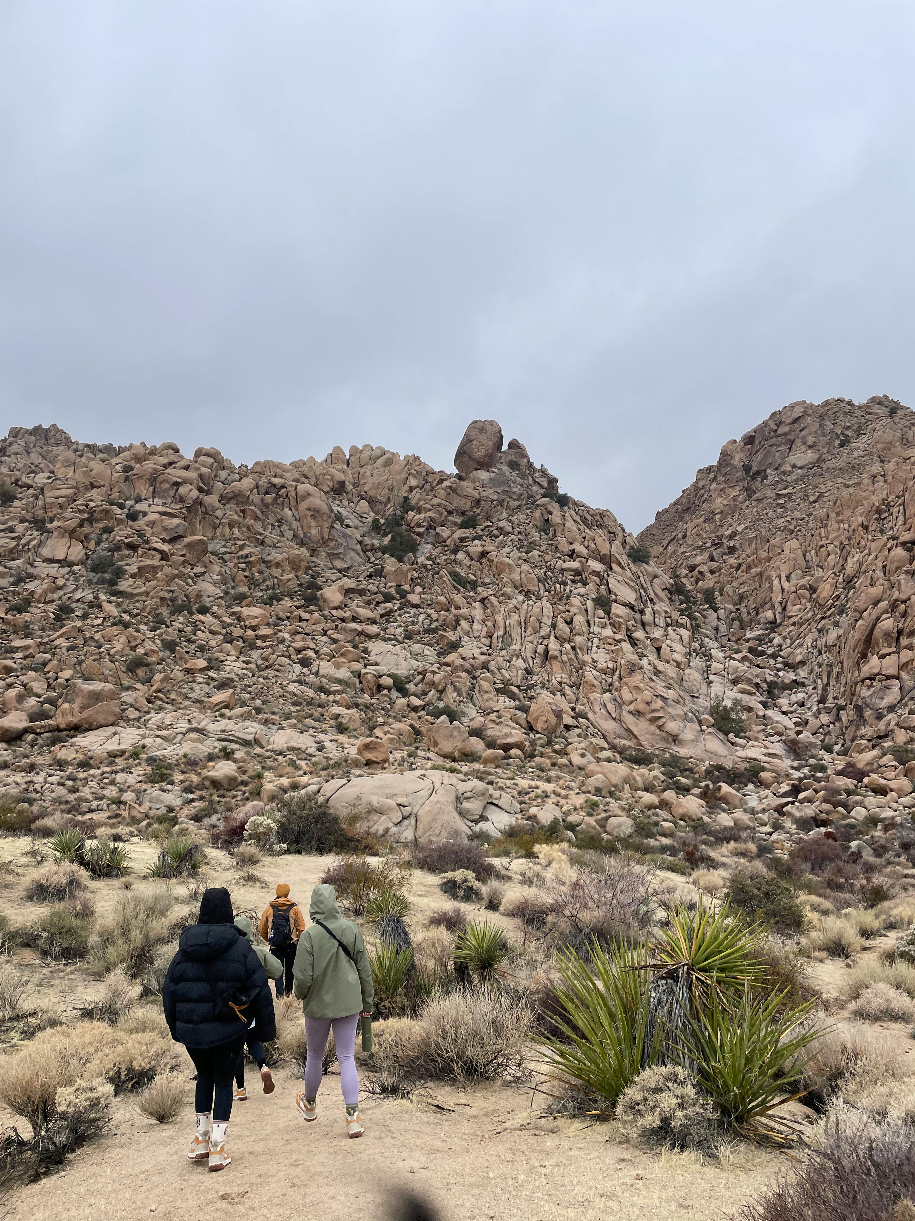 Hikers wearing Timberland in Joshua Tree National Park