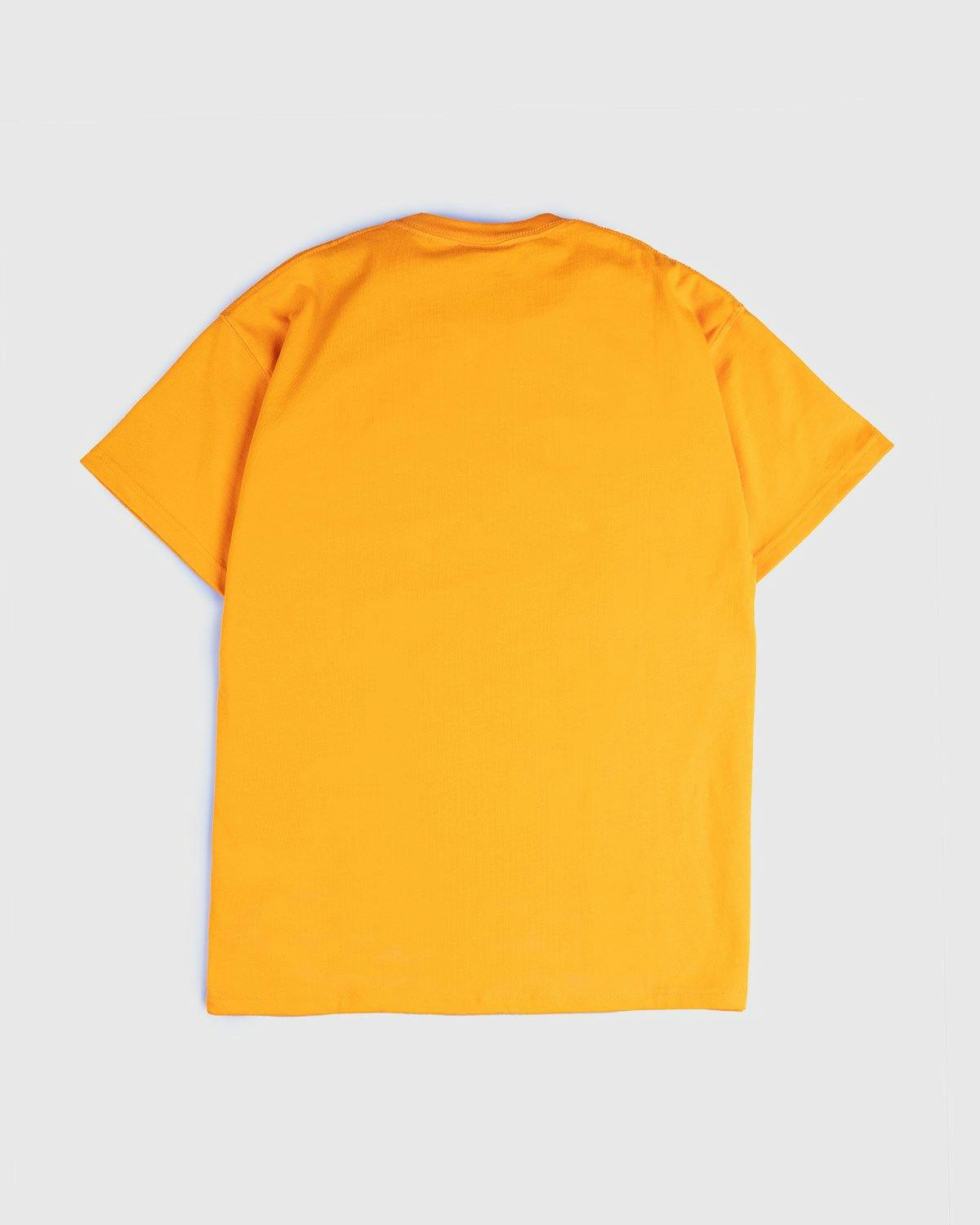 Nike ACG - M NRG ACG SS Embr Tee Orange - Clothing - Orange - Image 2