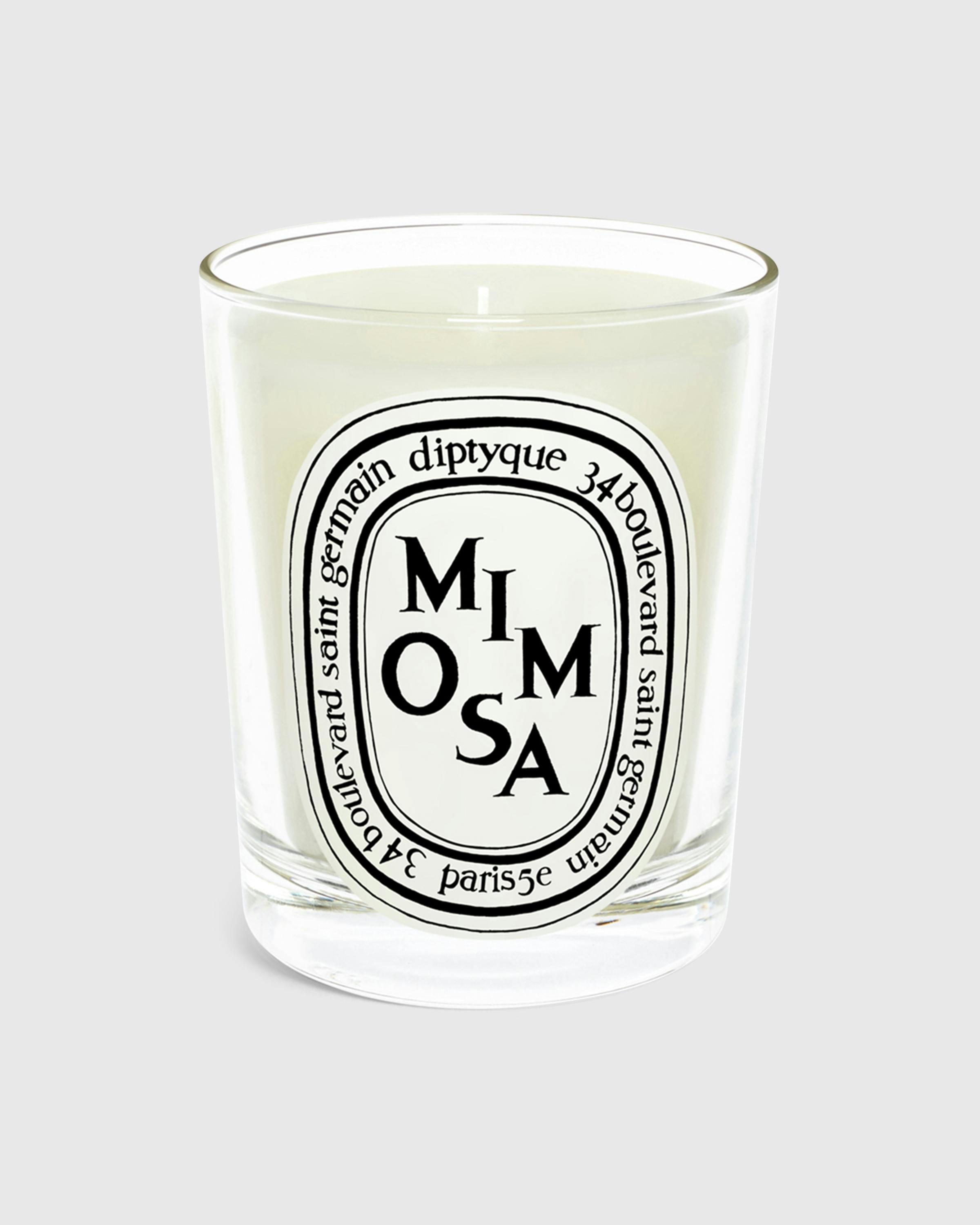 Diptyque – Standard Candle Mimosa 190g | Highsnobiety Shop