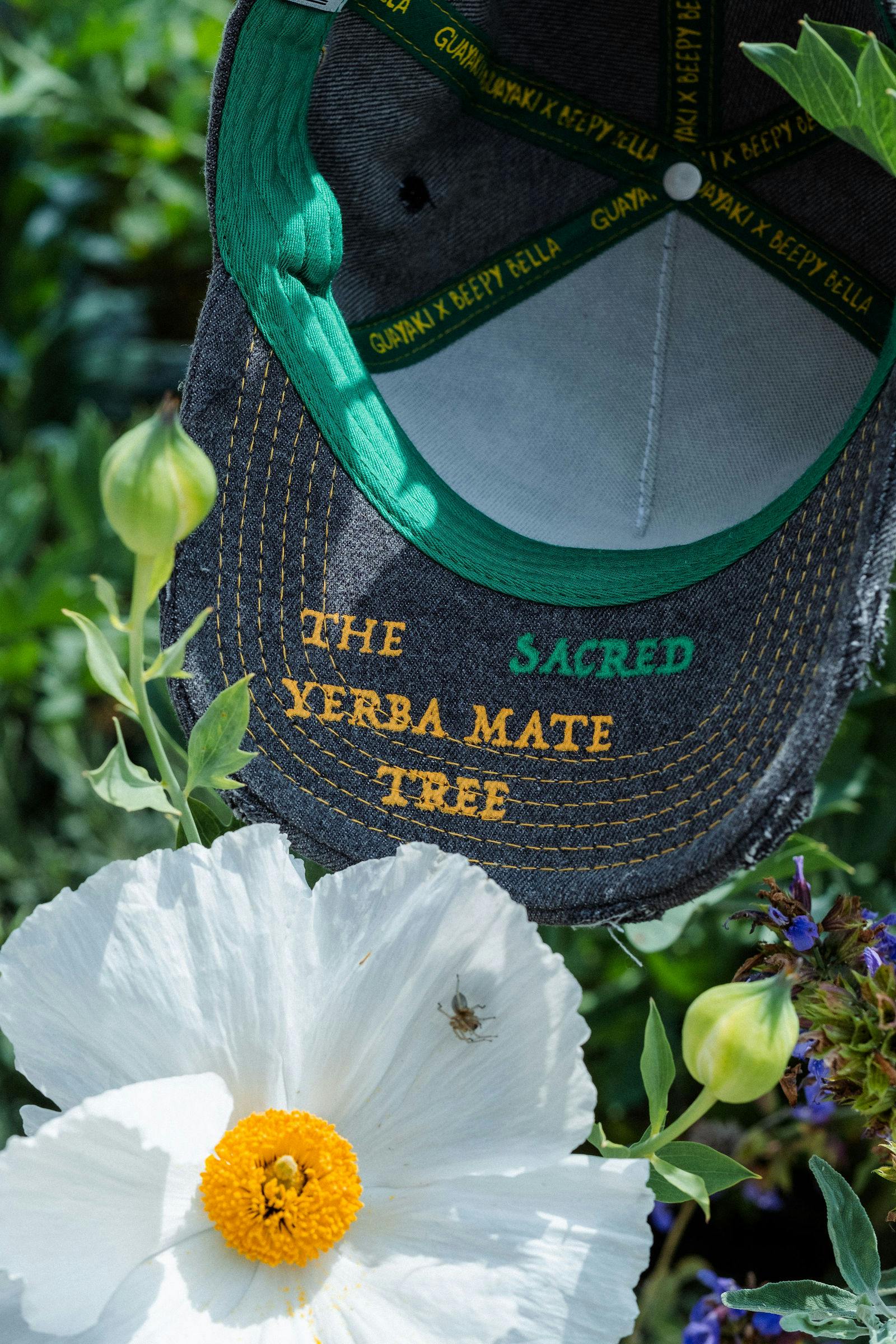 Beepy Bella x Guayaki yerba mate hat