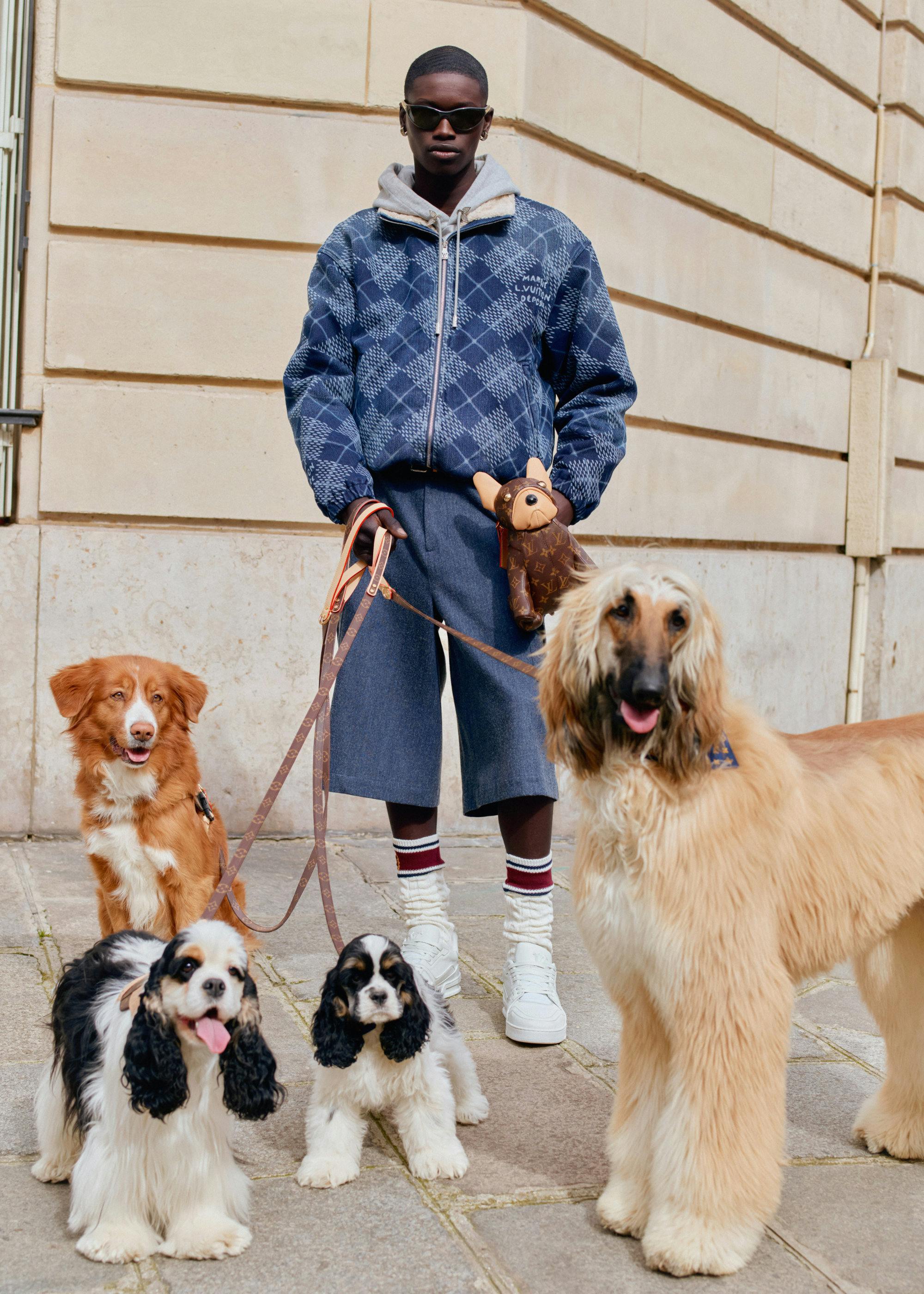 Pharrell Louis Vuitton Launch a Luxury Dog Line