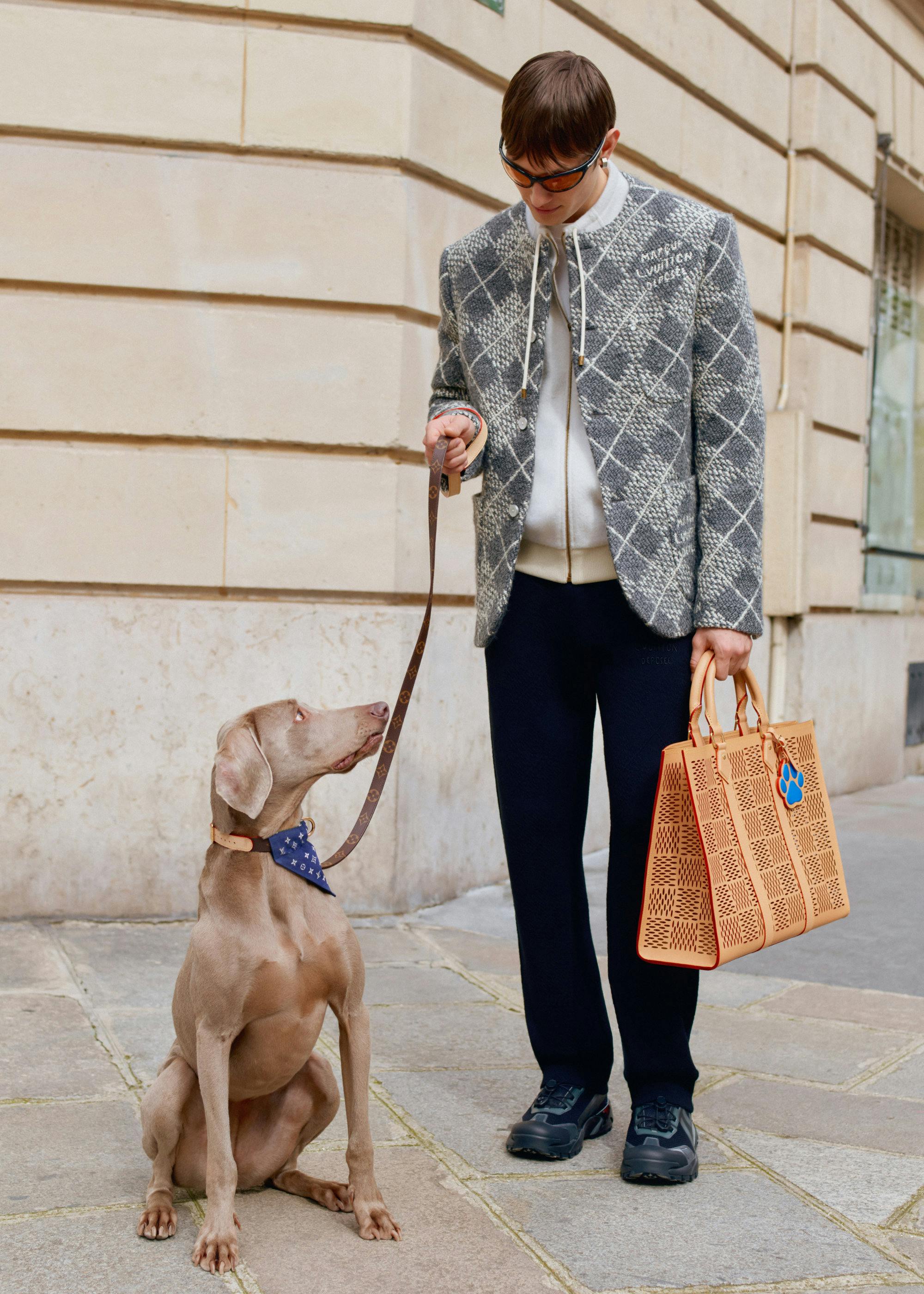 Louis vuitton dog apparel best sale