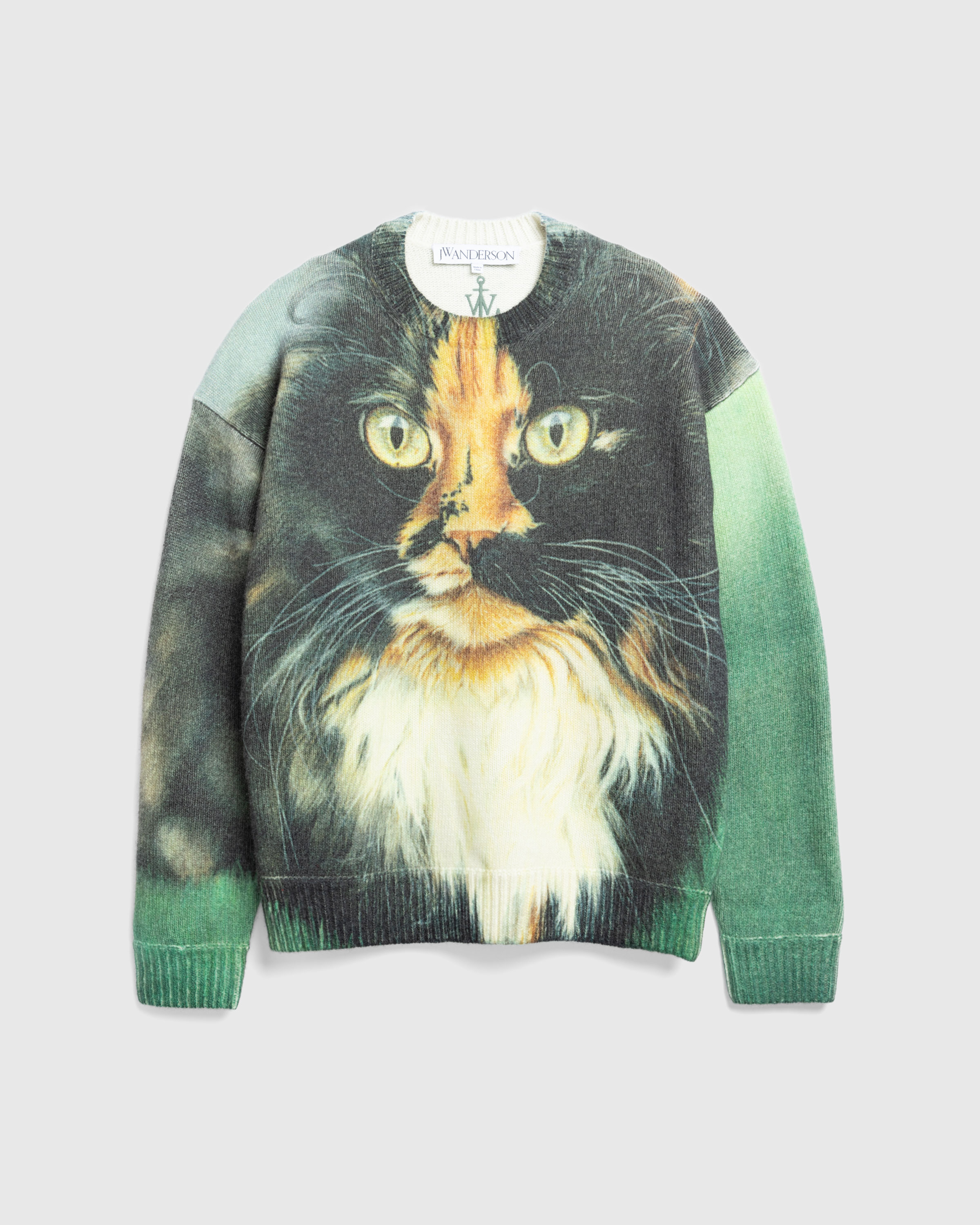 J.W. Anderson – Printed Sweater Emerald - Crewnecks - Green - Image 1