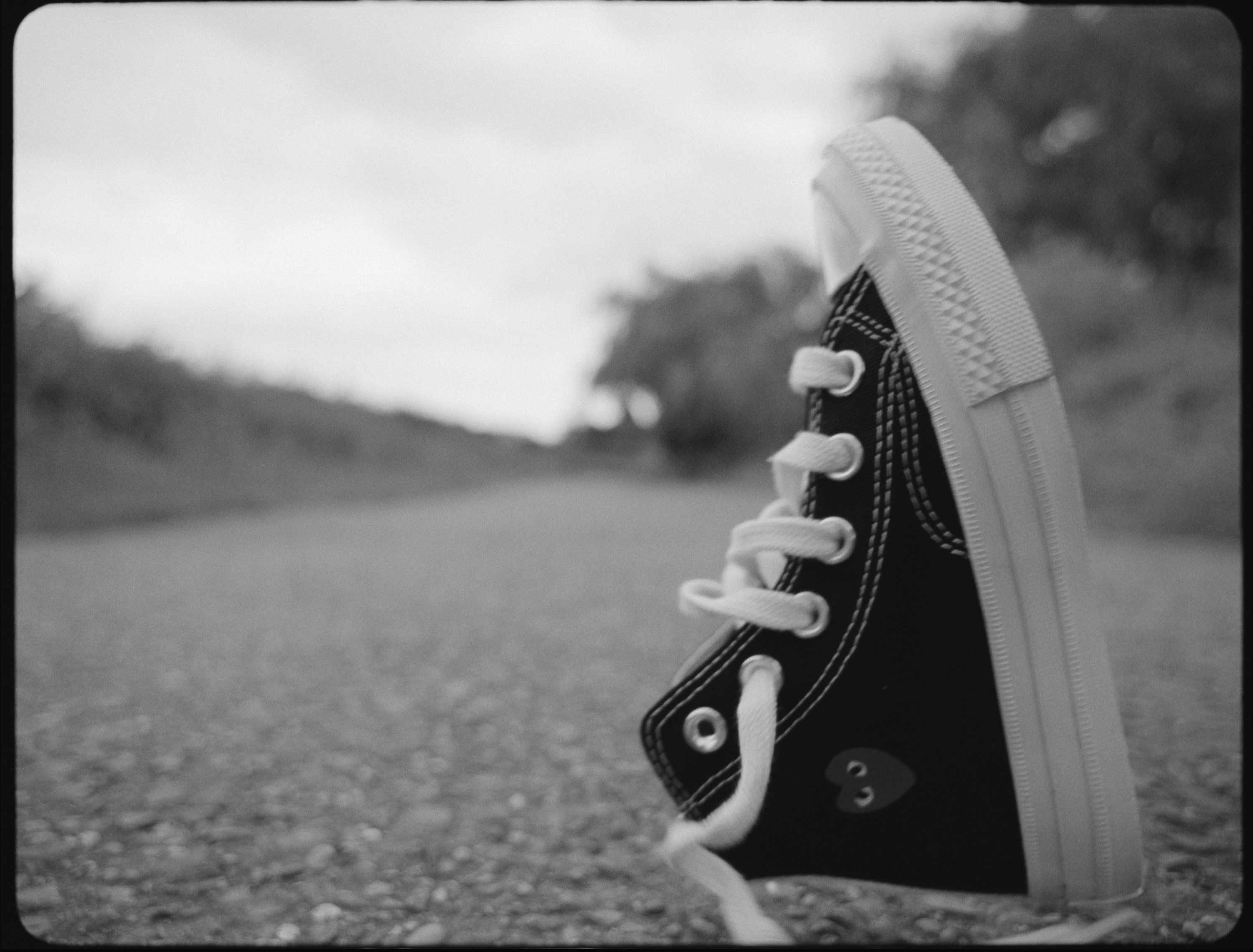 Comme des Garcons play converse in black and white