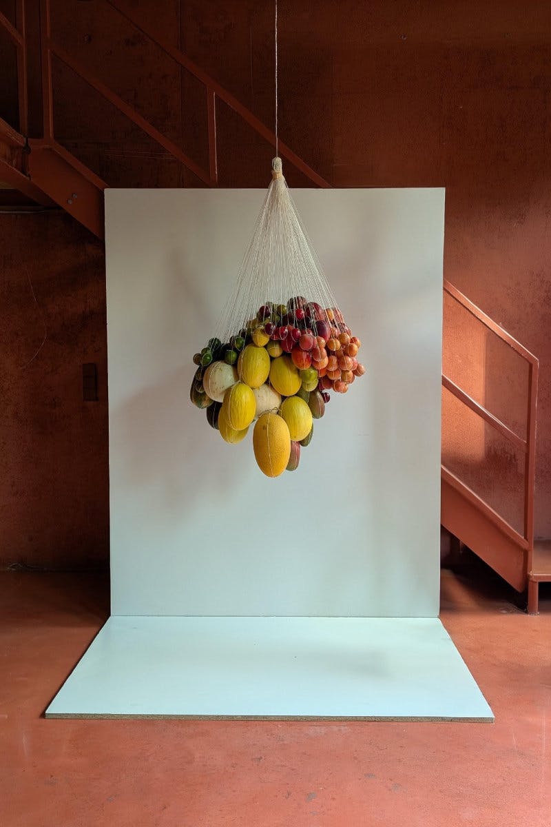 florist has added movement to her fruit installation