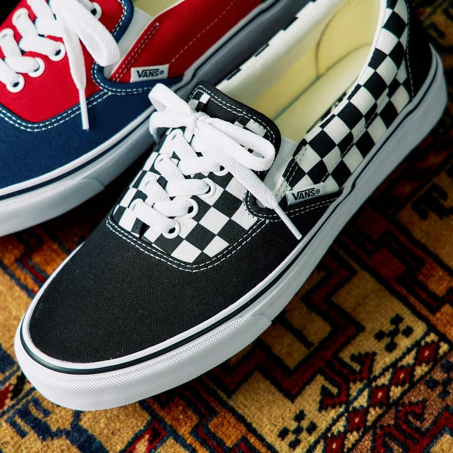 vans erap hybrid skate shoe