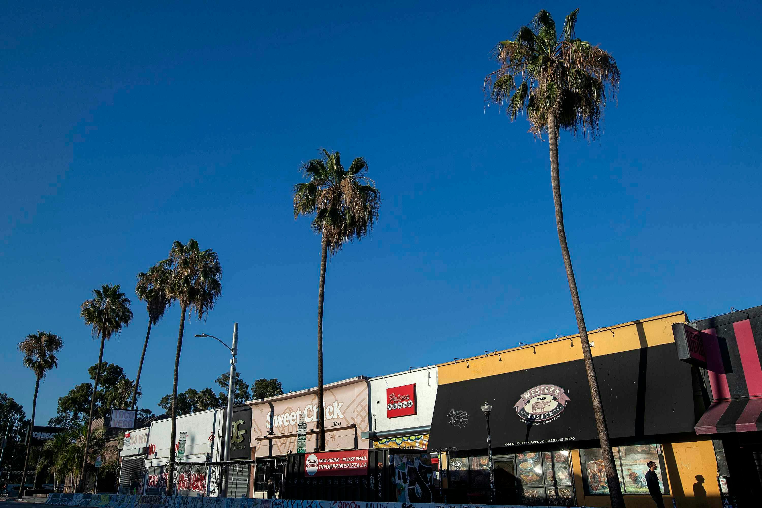 fairfax ave in los angeles with palm trees