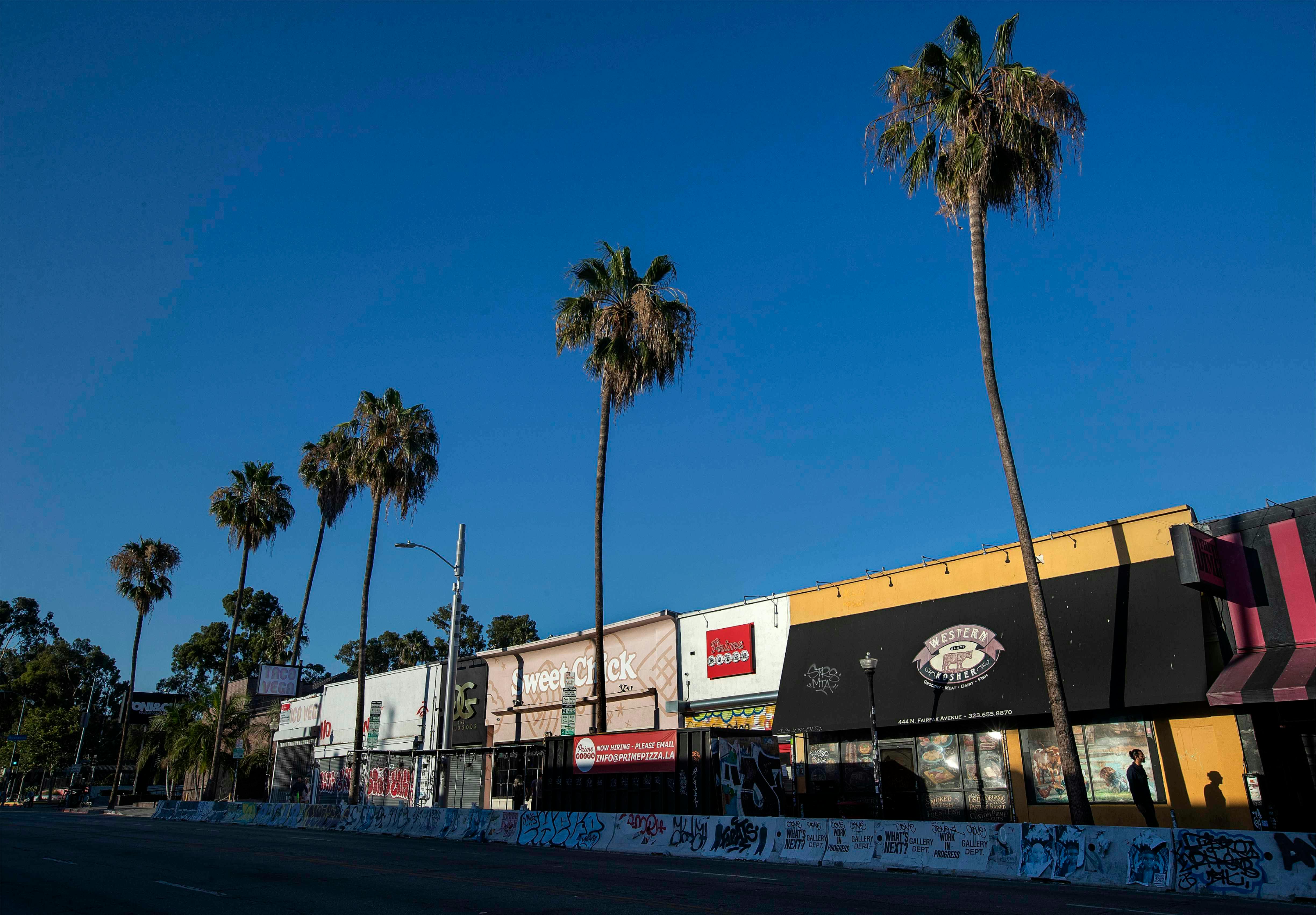 fairfax ave in los angeles with palm trees