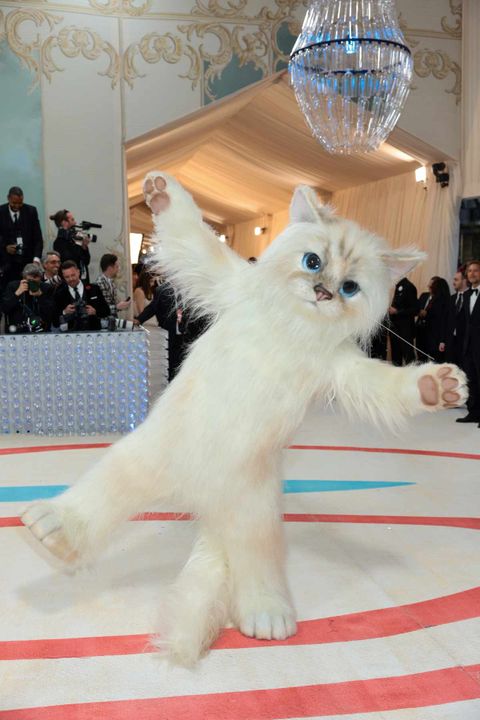 Jared Leto Terrorized Met Gala 2023 in a Giant Cat Suit
