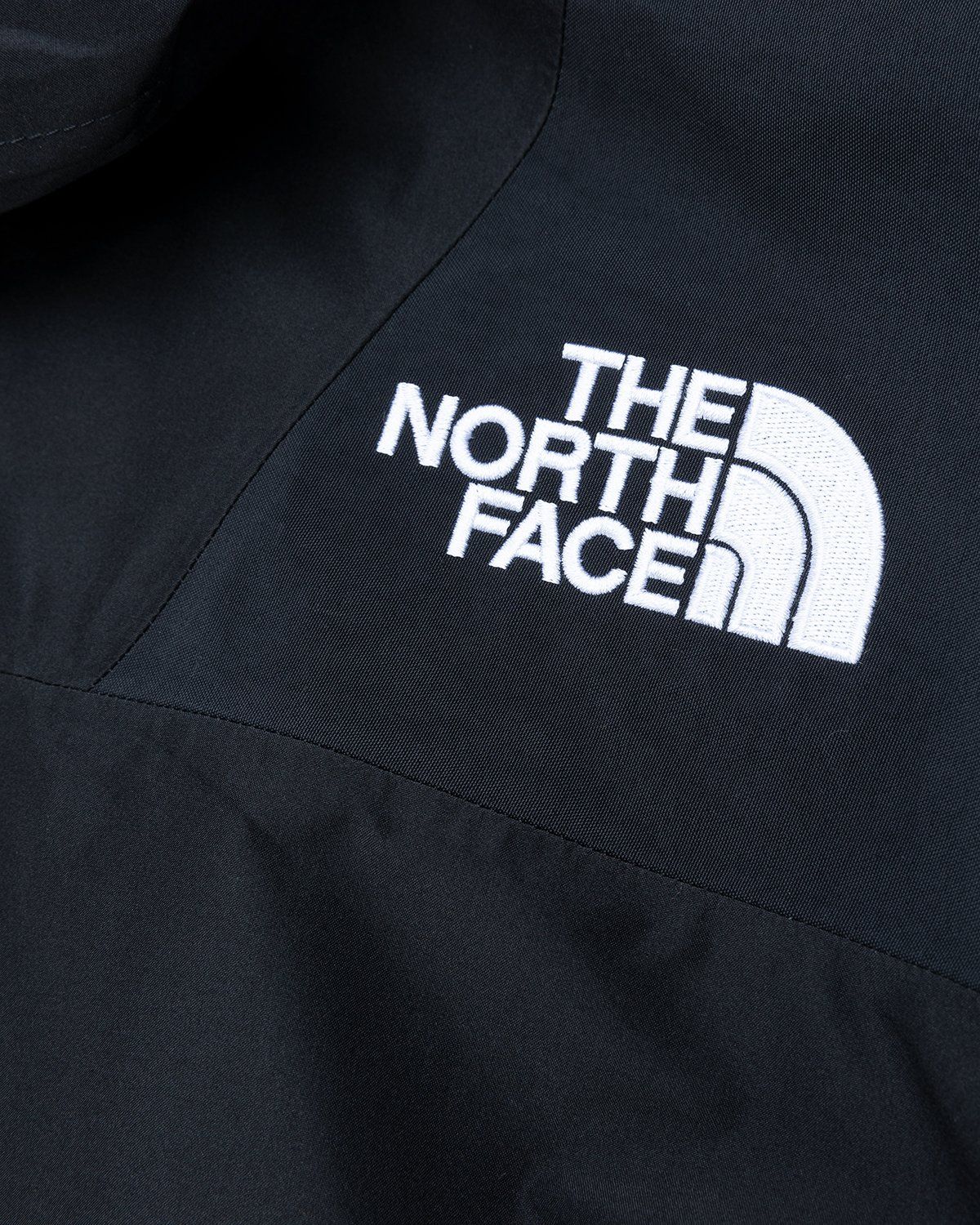 The North Face – 1994 Retro Mountain Light Jacket Black