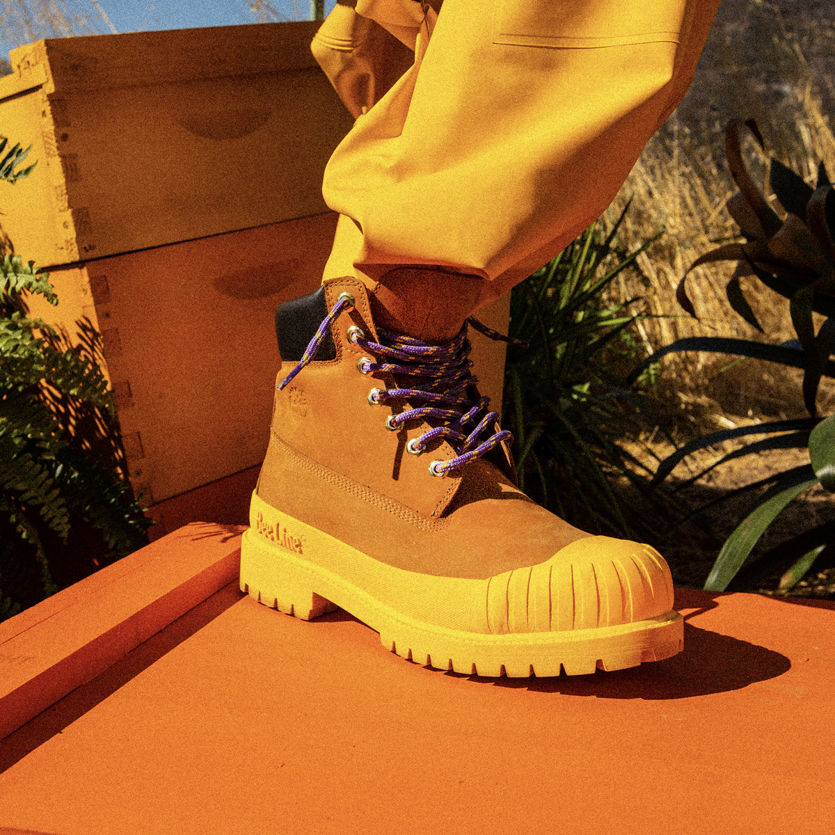 Bee Line x Timberland 6-Inch Boot: Official Release Information