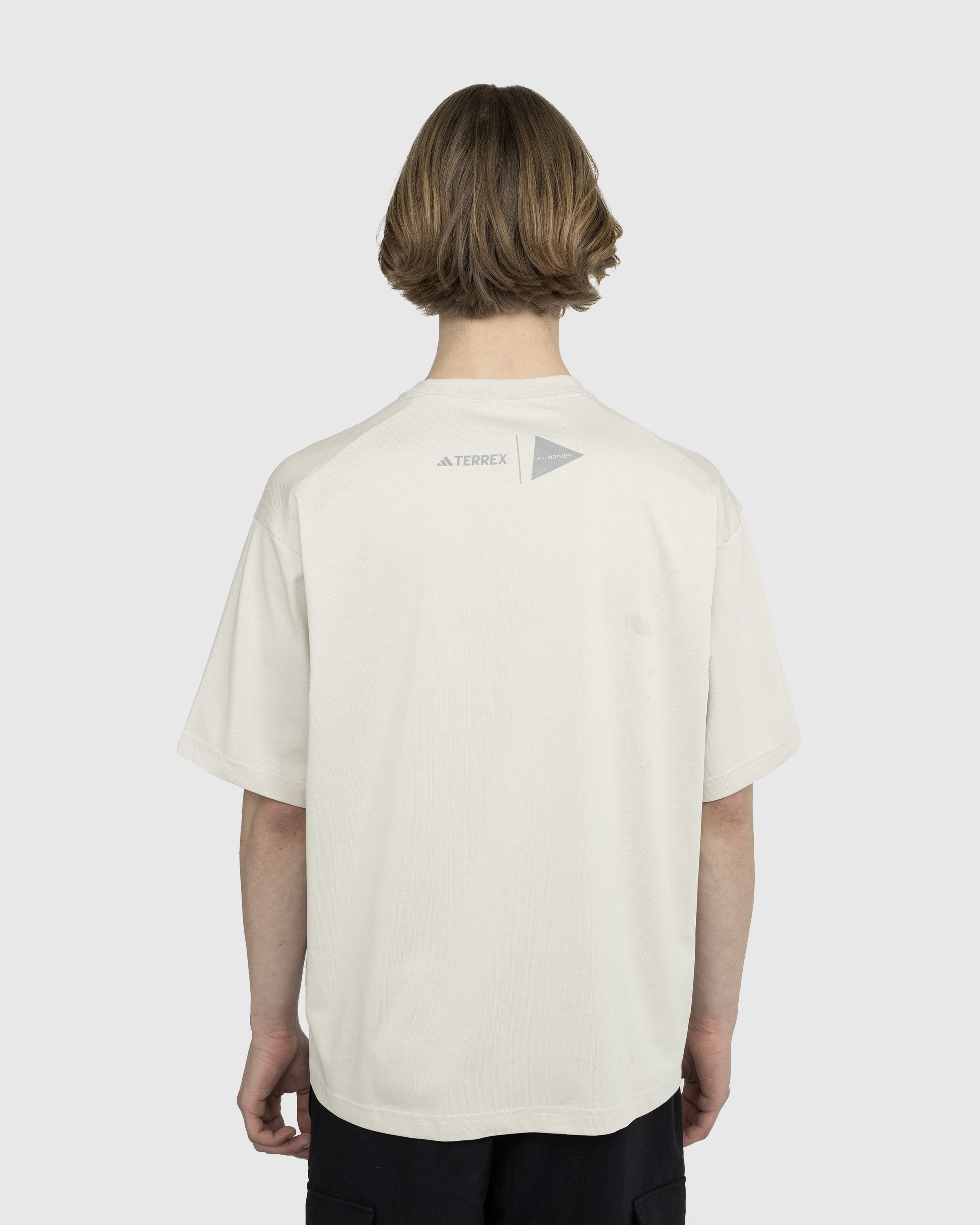 adidas Terrex x And Wander – Graphic T-Shirt Shop Alumina | AWD Highsnobiety